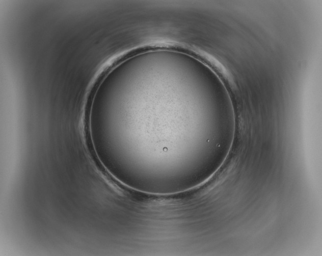 X0000112981327200908271135