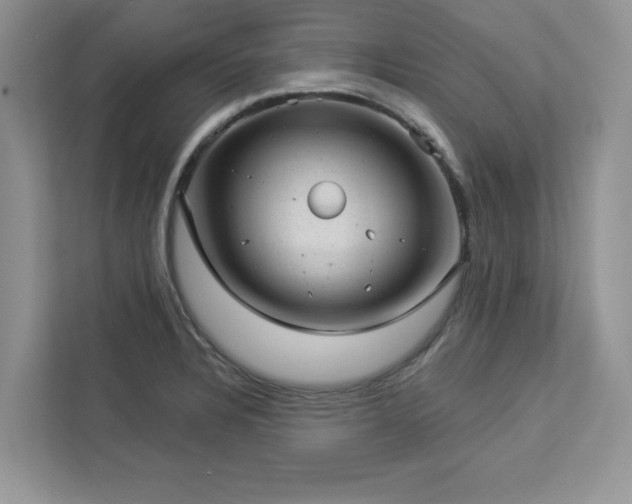 X0000112981328200908271135