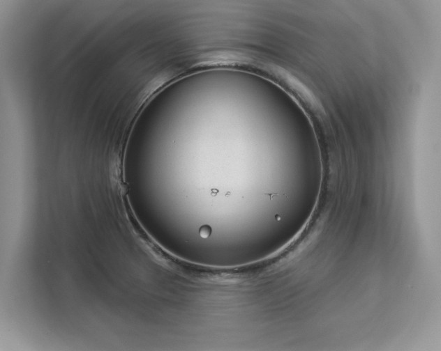X0000112981329200908271135