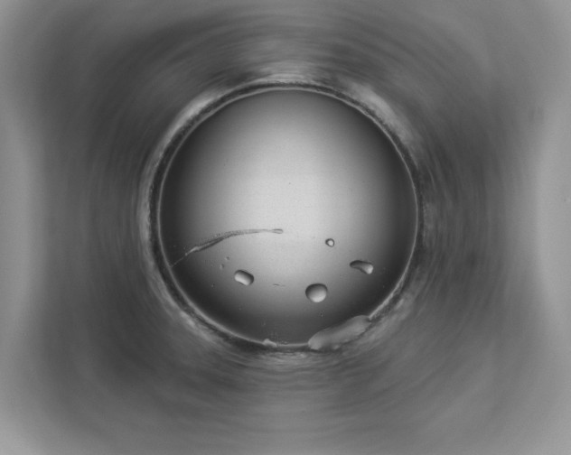 X0000112981331200908271135