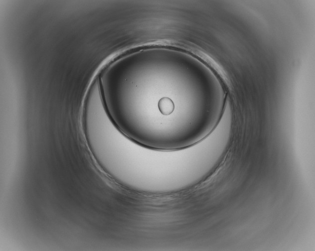 X0000112981332200908271135