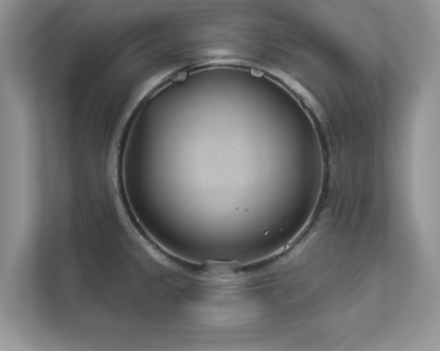 X0000112981333200908271135
