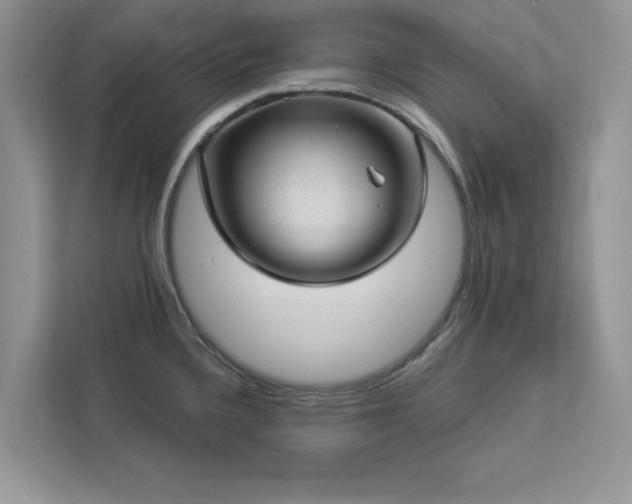 X0000112981336200908271135