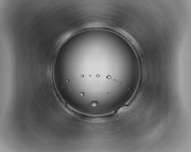 X0000112981337200908271135