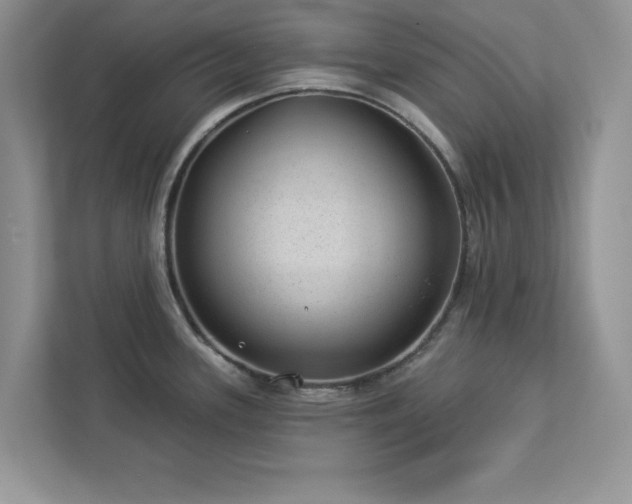 X0000112981339200908271135