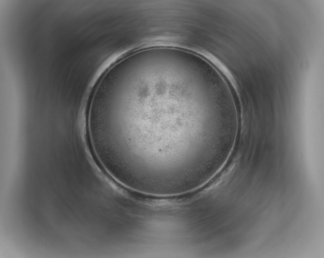 X0000112981341200908271135