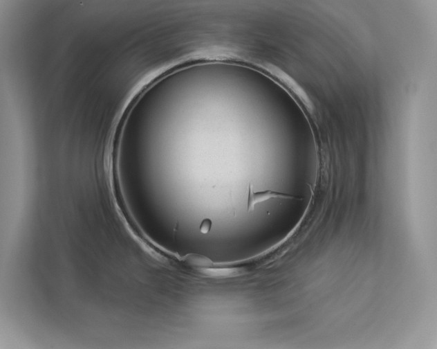 X0000112981343200908271135