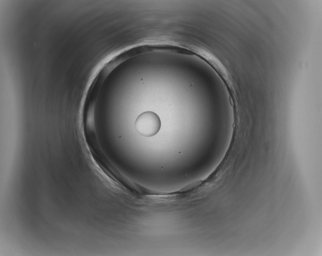 X0000112981344200908271135