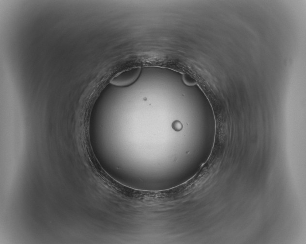 X0000112981345200908271135