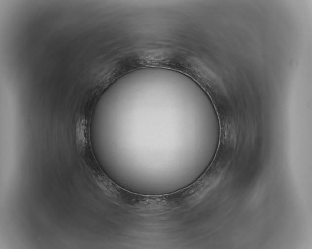 X0000112981346200908271135