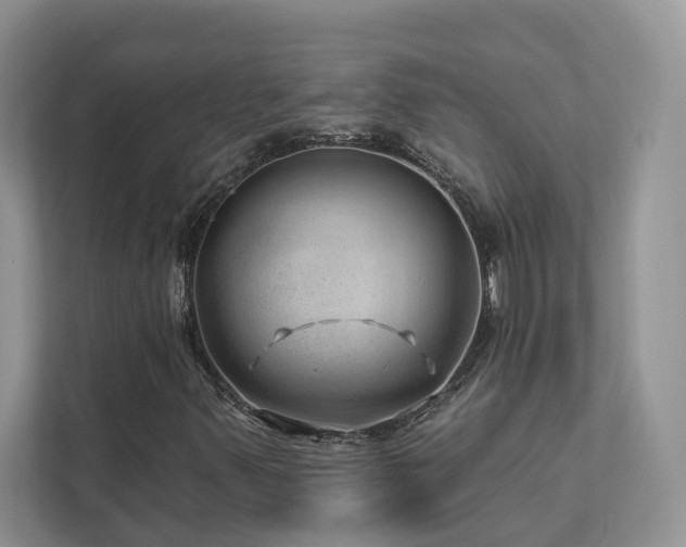 X0000112981347200908271135