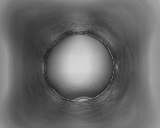 X0000112981348200908271135