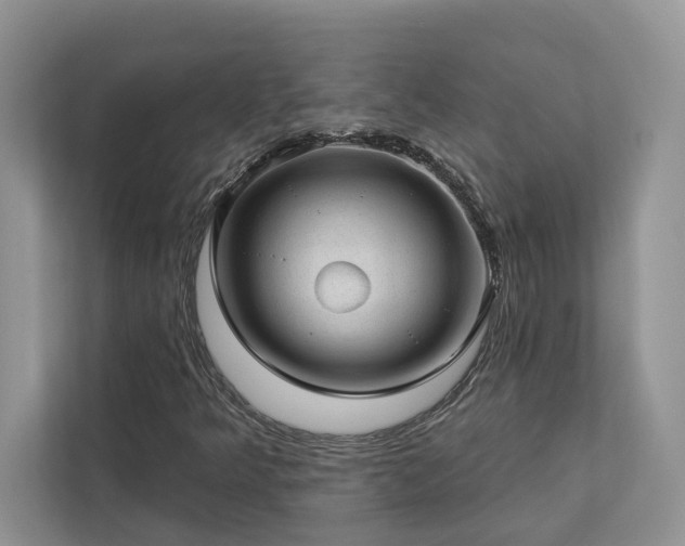 X0000112981349200908271135