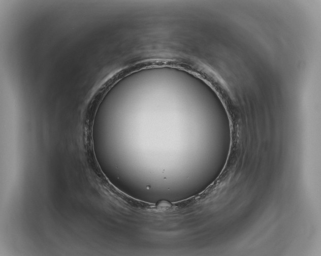 X0000112981352200908271135