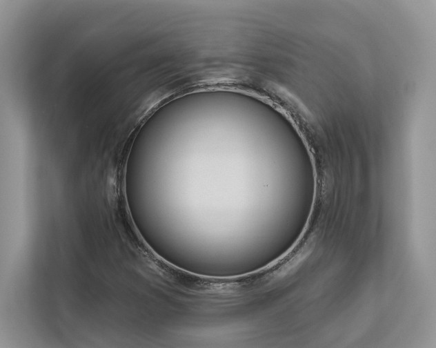 X0000112981353200908271135
