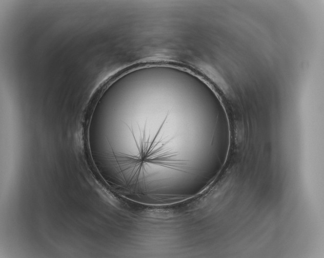 X0000112981356200908271135