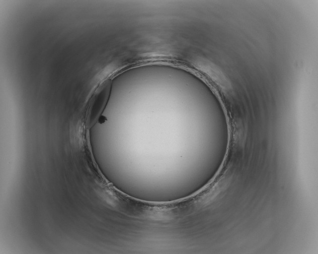 X0000112981357200908271135