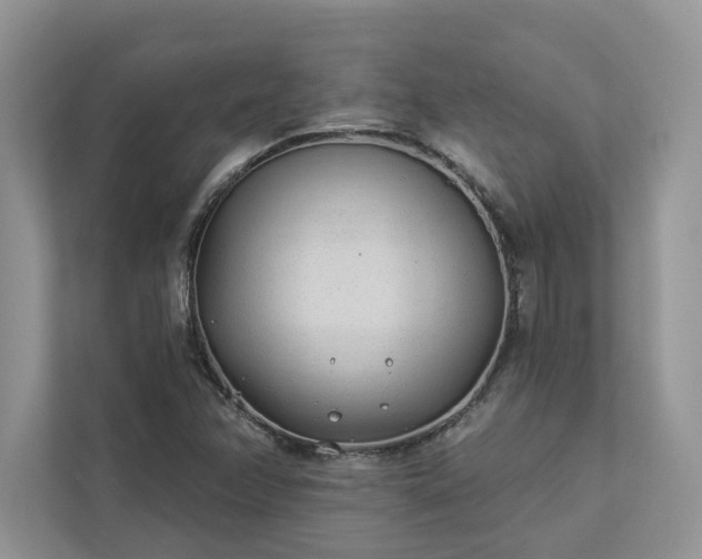 X0000112981358200908271135
