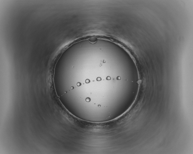 X0000112981359200908271135