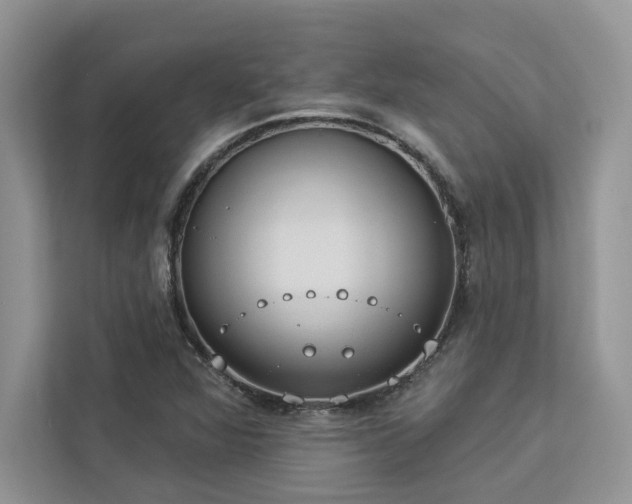 X0000112981360200908271135