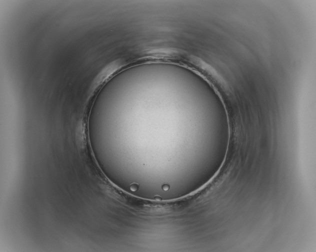 X0000112981362200908271135