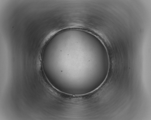 X0000112981363200908271135