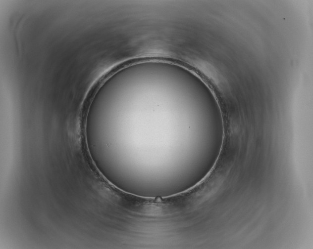 X0000112981364200908271135