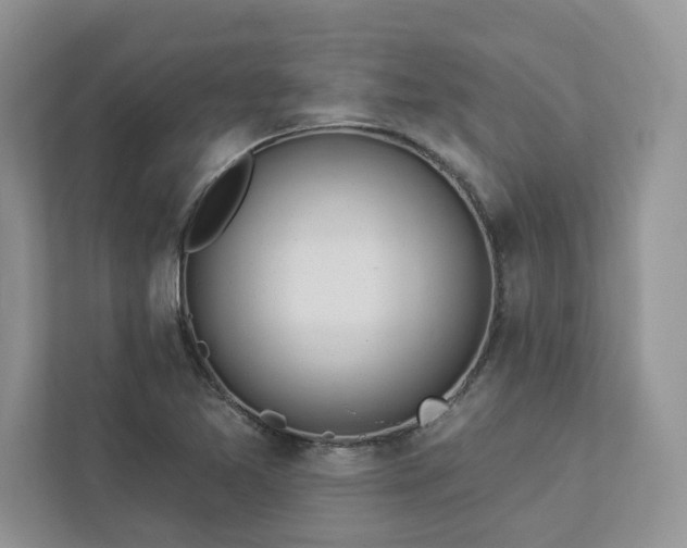 X0000112981365200908271135