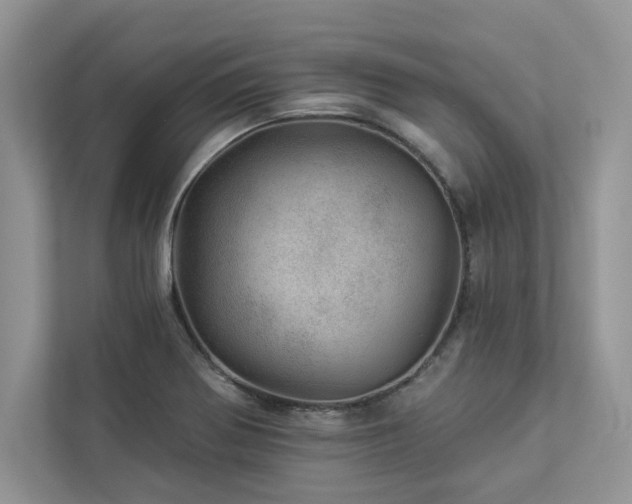 X0000112981370200908271134