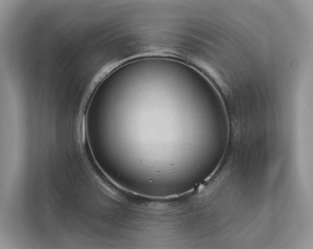 X0000112981371200908271134
