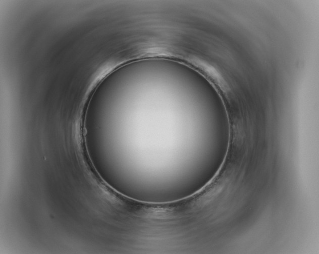 X0000112981373200908271134