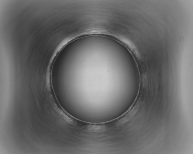 X0000112981374200908271134