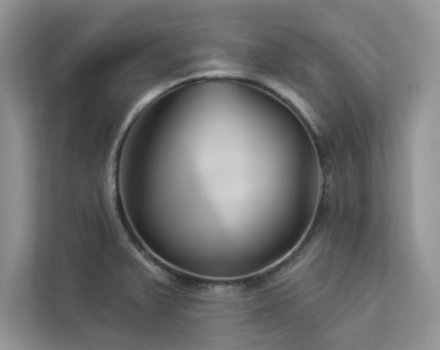 X0000112981375200908271134