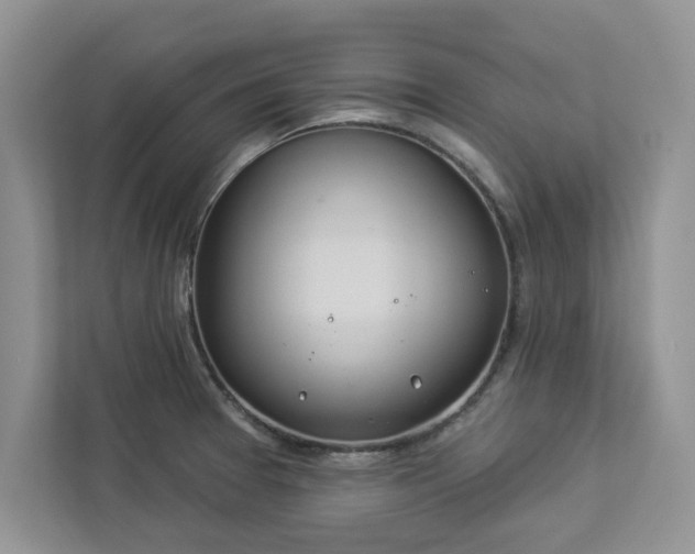 X0000112981377200908271134