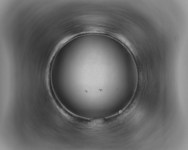 X0000112981379200908271134