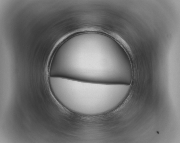 X0000112981380200908271134
