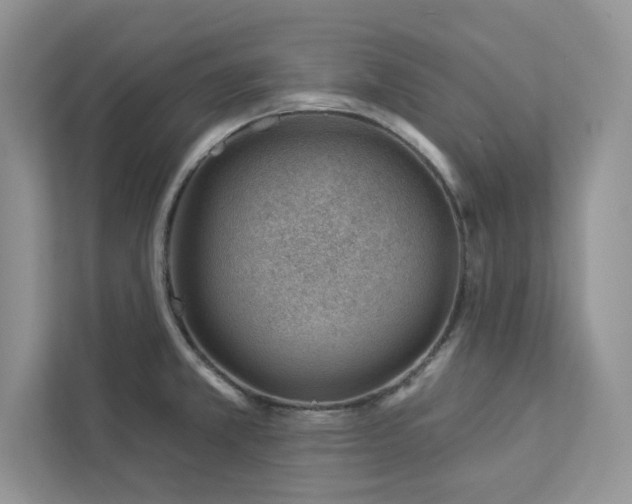 X0000112981381200908271134