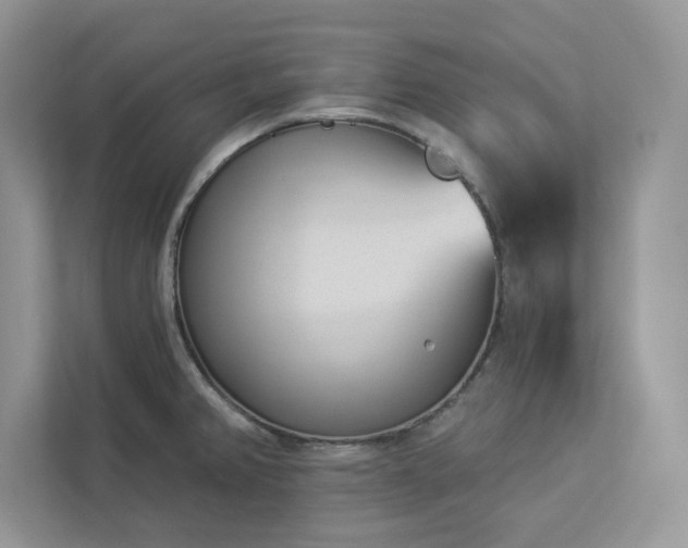 X0000112981382200908271134