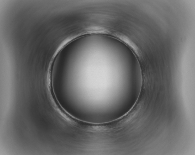 X0000112981383200908271134