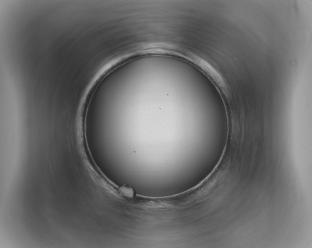 X0000112981384200908271134