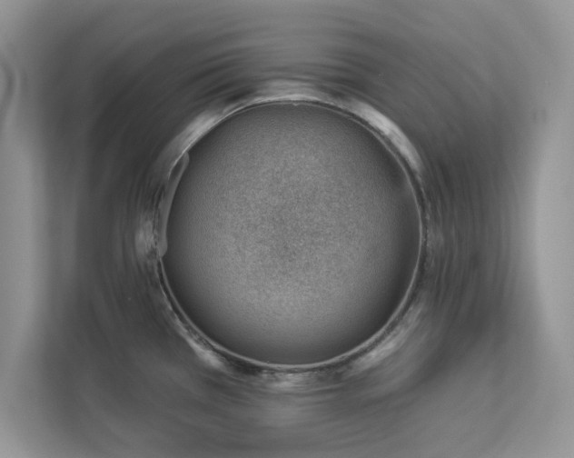 X0000112981385200908271134
