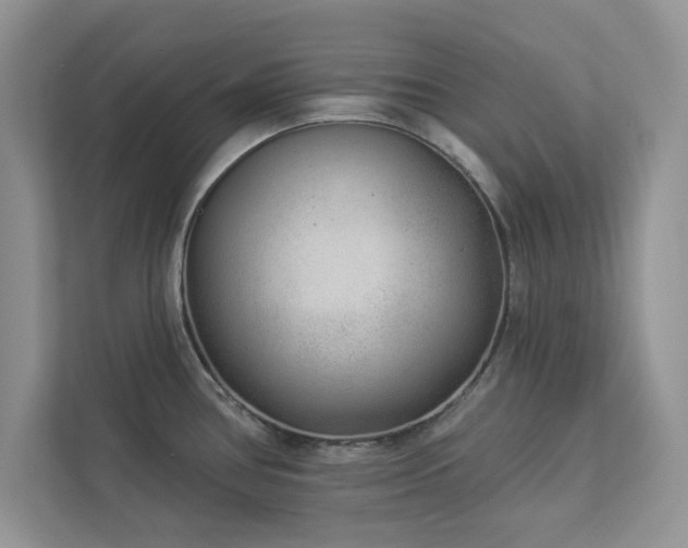 X0000112981386200908271134