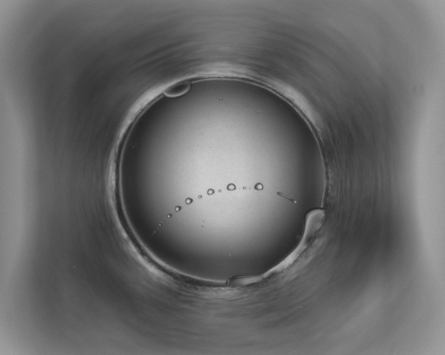 X0000112981387200908271134