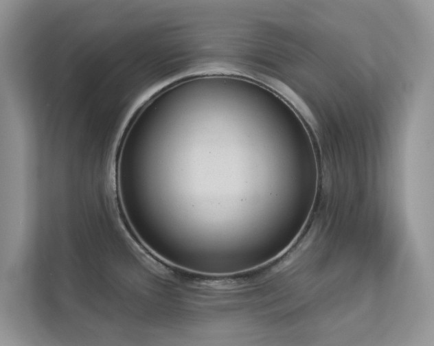 X0000112981388200908271134