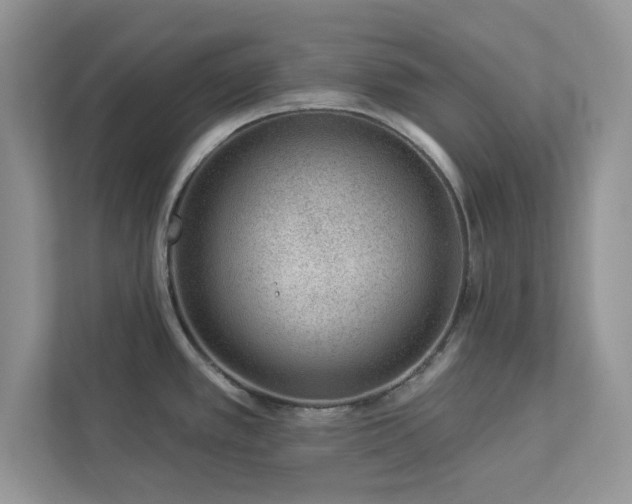 X0000112981389200908271134