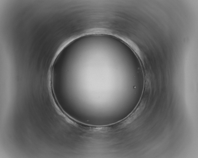X0000112981390200908271134