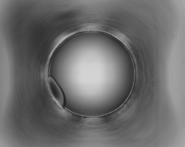 X0000112981392200908271134