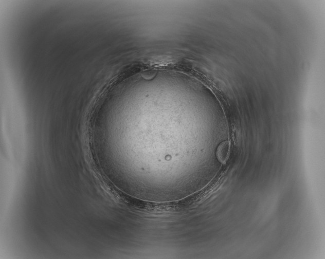X0000112981393200908271134