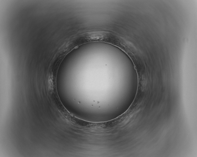 X0000112981394200908271134