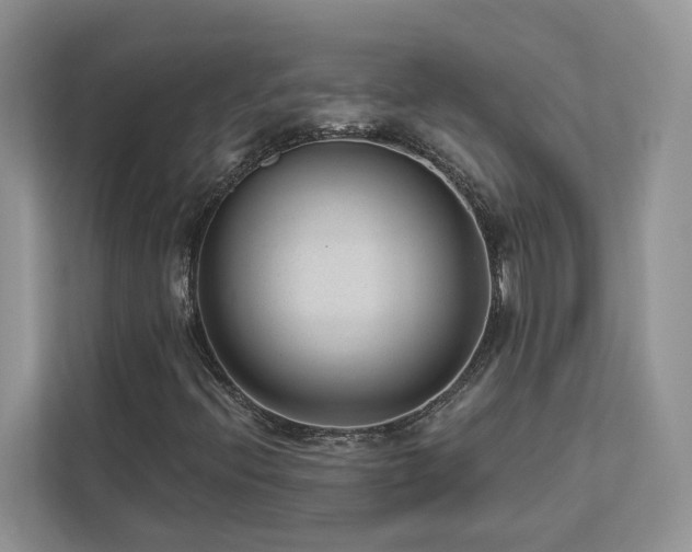 X0000112981396200908271134